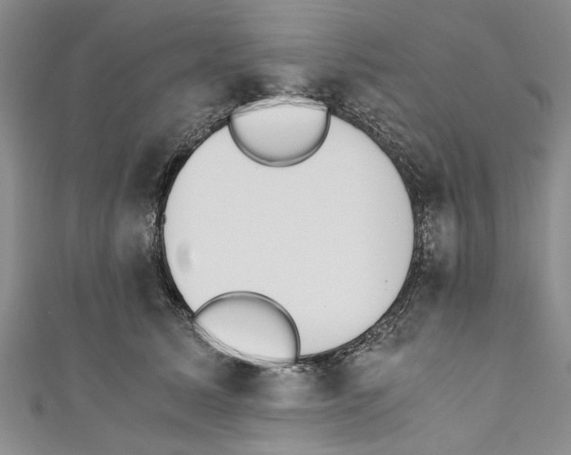 X0000110670611200907101108