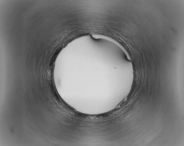 X0000110670613200907101108