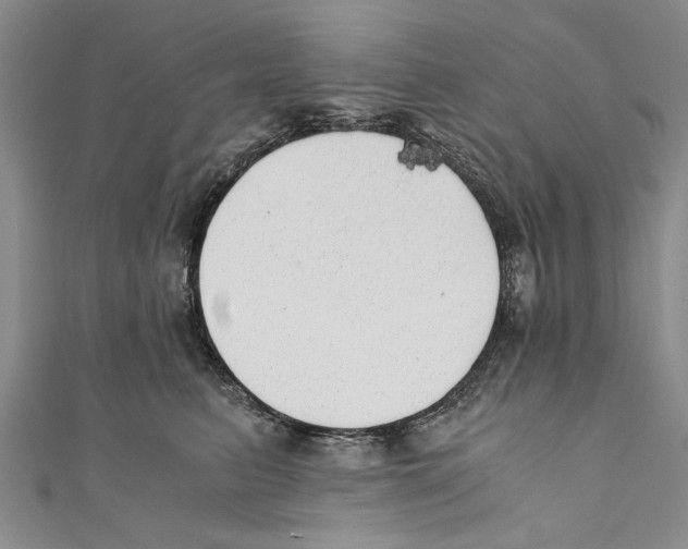 X0000110670615200907101108