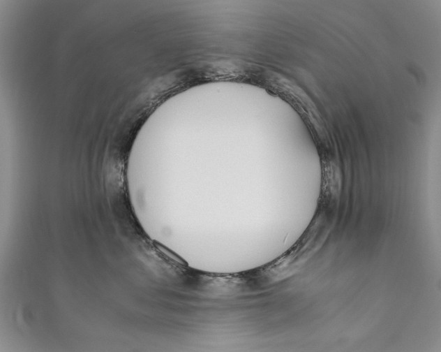 X0000110670621200907101108