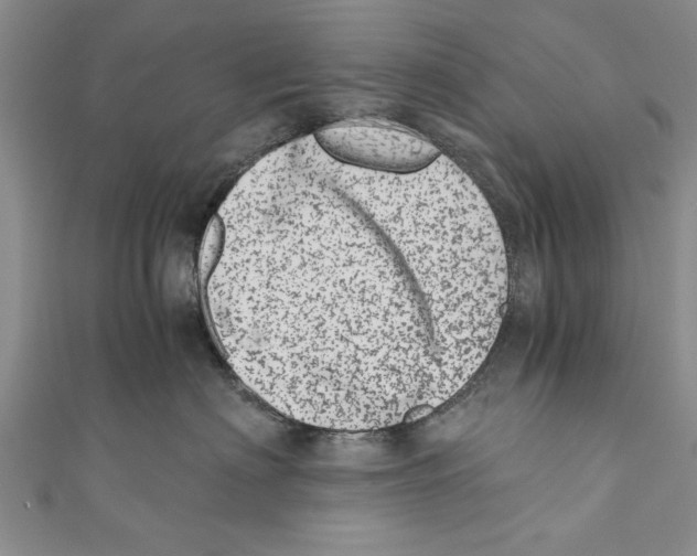 X0000110670622200907101108