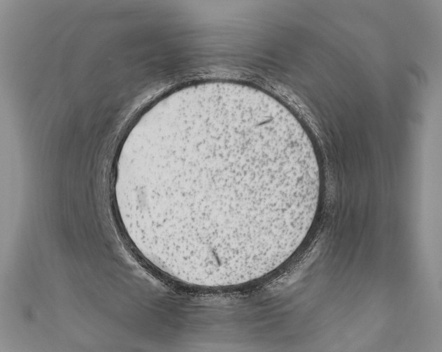 X0000110670625200907101107