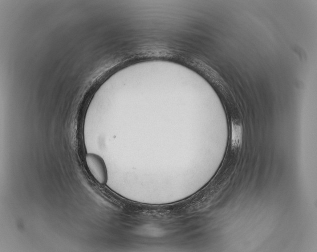 X0000110670627200907101107