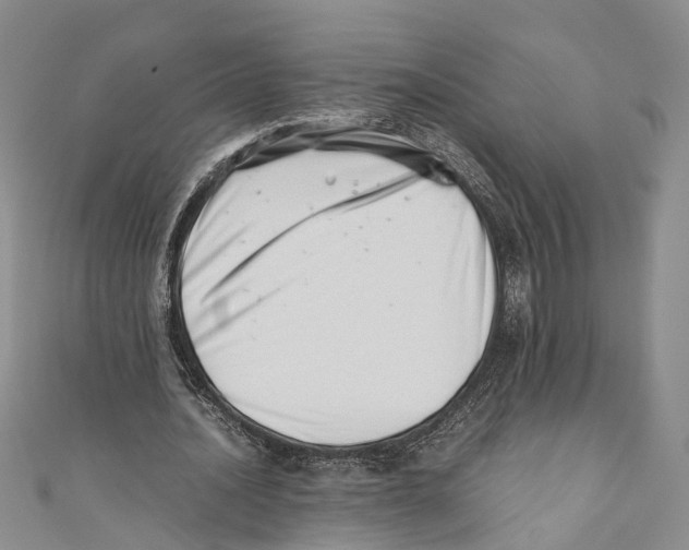 X0000110670628200907101107