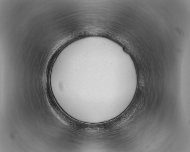X0000110670630200907101107