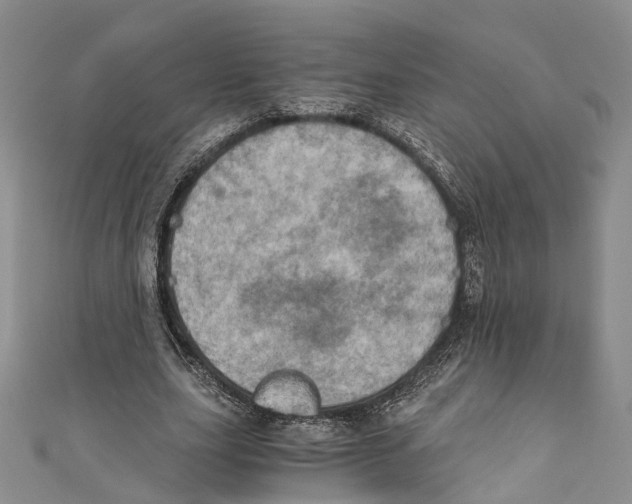 X0000110670631200907101107