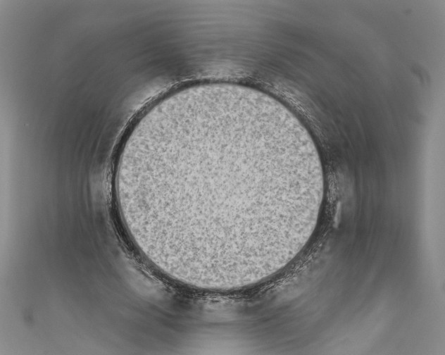 X0000110670632200907101107