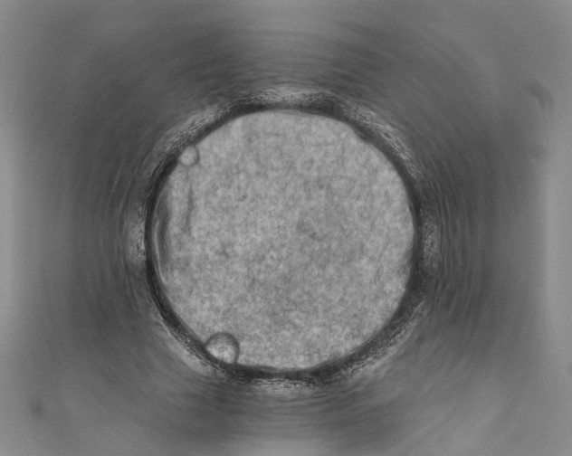 X0000110670633200907101107