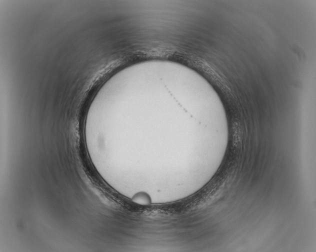 X0000110670634200907101107