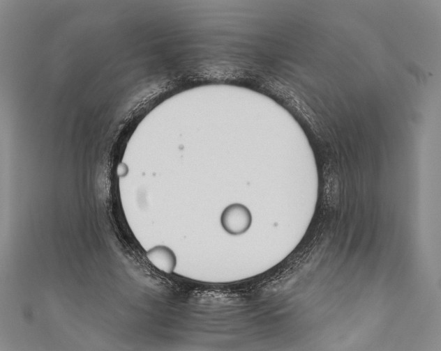 X0000110670635200907101107