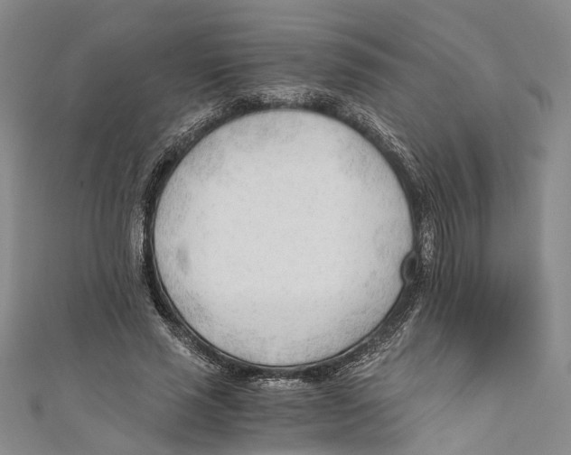 X0000110670637200907101107
