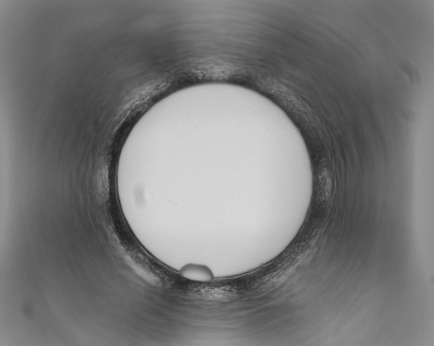 X0000110670638200907101107