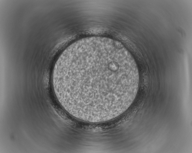 X0000110670640200907101107