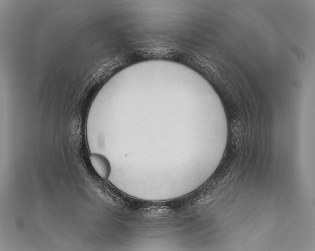 X0000110670642200907101107
