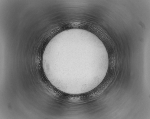 X0000110670653200907101107
