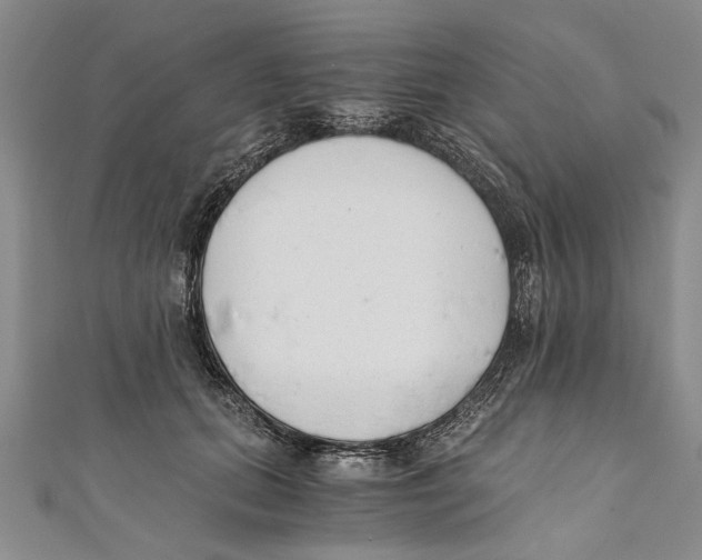 X0000110670655200907101107
