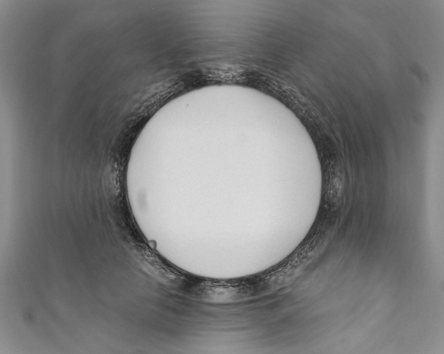 X0000110670658200907101107
