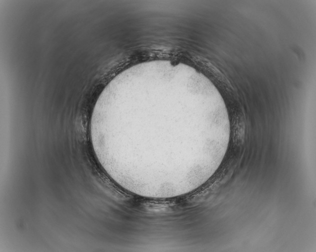 X0000110670661200907101107