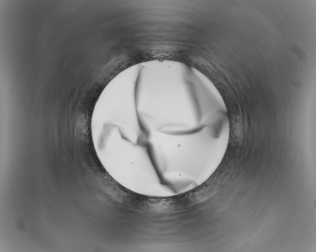 X0000110670667200907101107