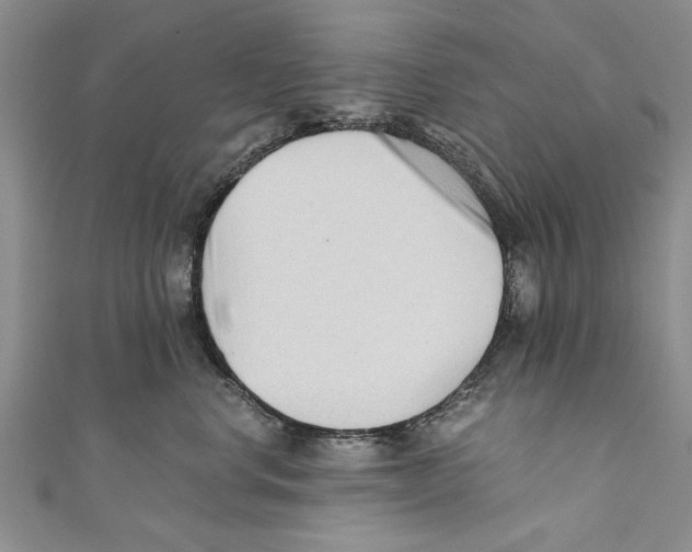 X0000110670668200907101107