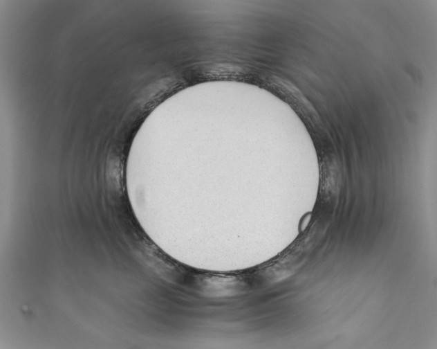 X0000110670669200907101107