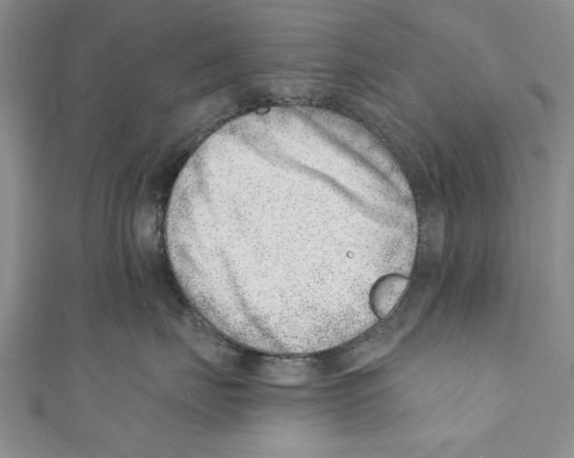 X0000110670671200907101107