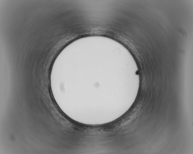X0000110670673200907101107
