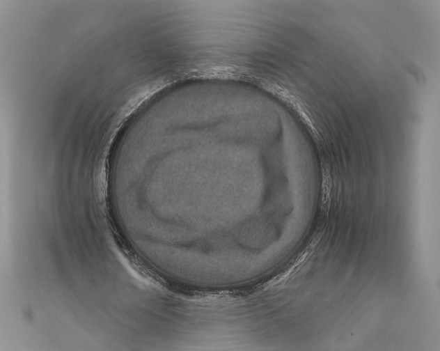 X0000110670674200907101107