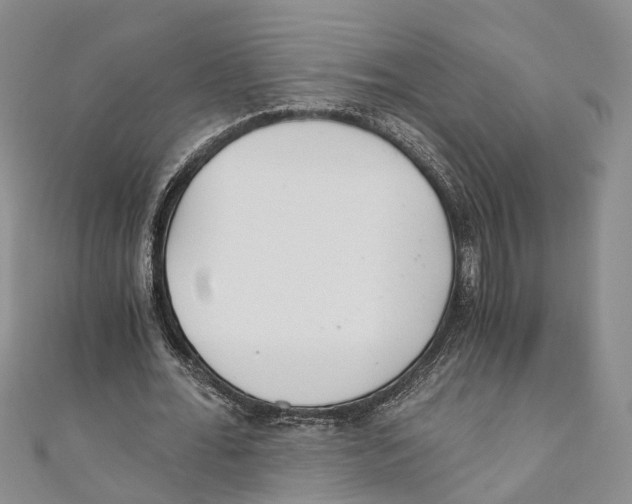 X0000110670676200907101107