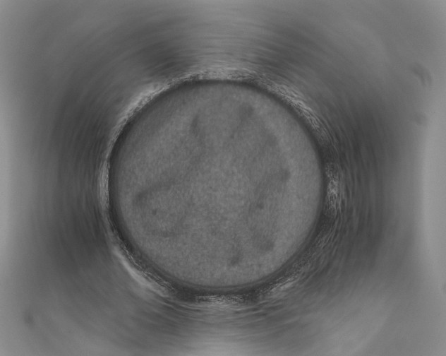 X0000110670678200907101107
