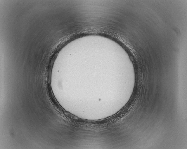 X0000110670681200907101107