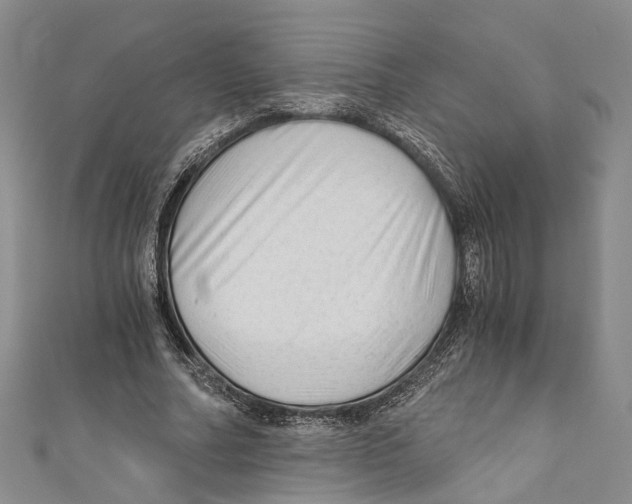 X0000110670682200907101107