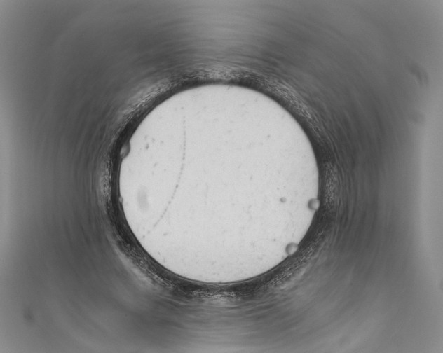 X0000110670683200907101107