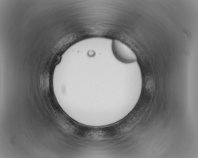 X0000110670685200907101107