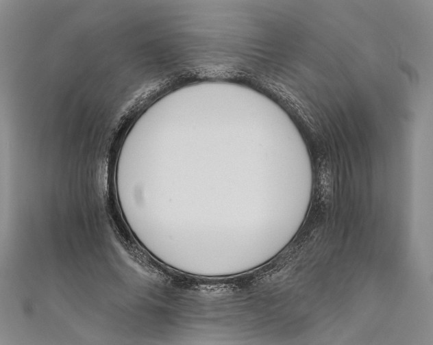 X0000110670686200907101107