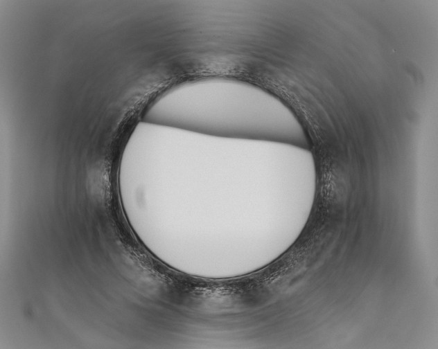 X0000110670688200907101107