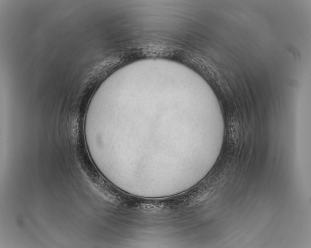 X0000110670690200907101107