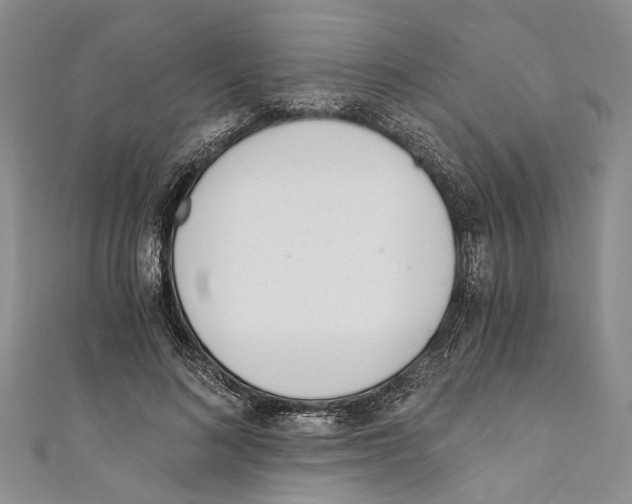 X0000110670692200907101107
