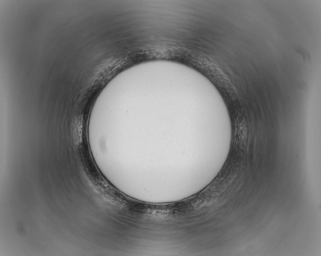 X0000110670694200907101107