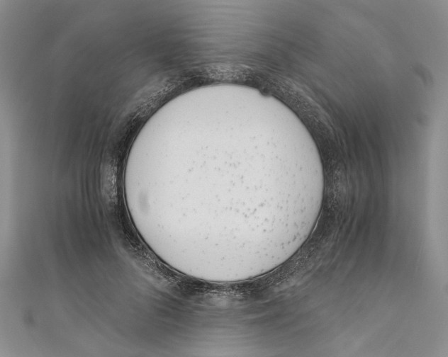 X0000110670696200907101107