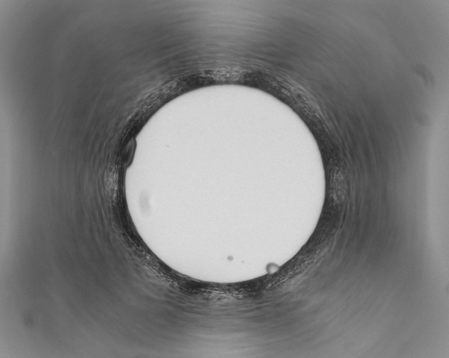 X0000110670697200907101107