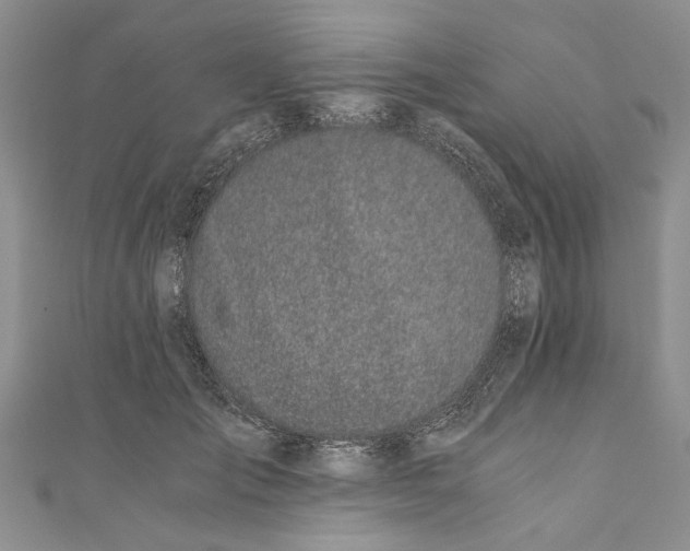 X0000110670701200907101107