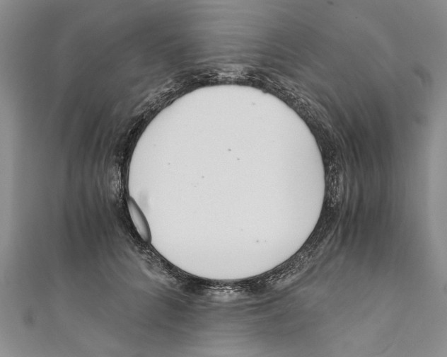 X0000110670704200907101106