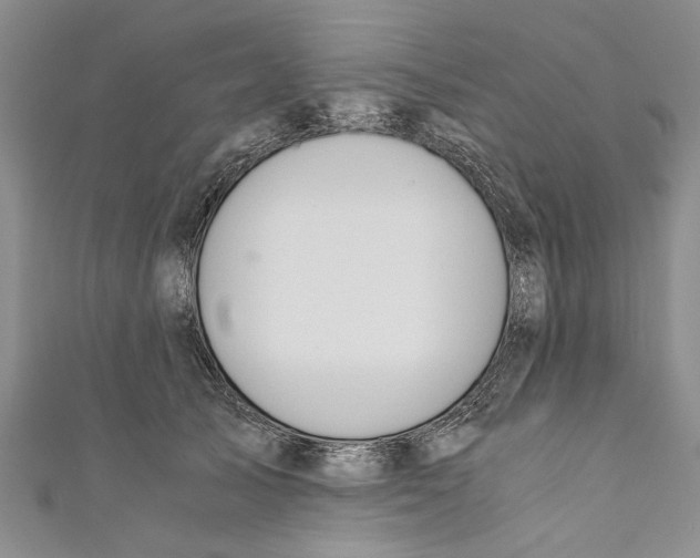 X0000110670705200907101106