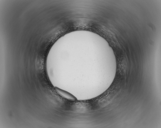 X0000110670708200907101106