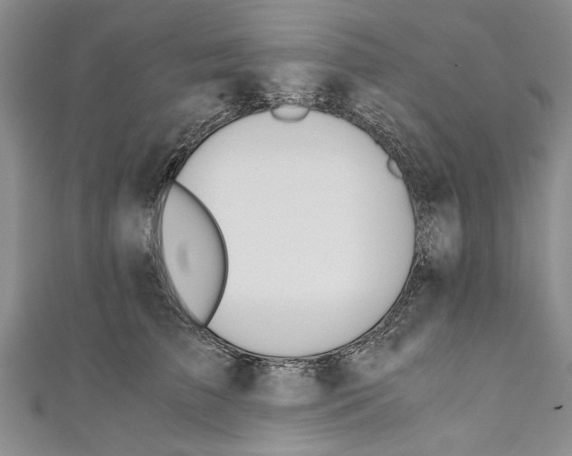 X0000110670709200907101106