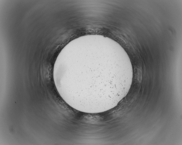 X0000110670712200907101106
