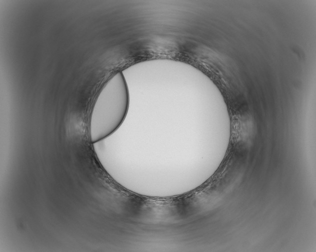 X0000110670713200907101106