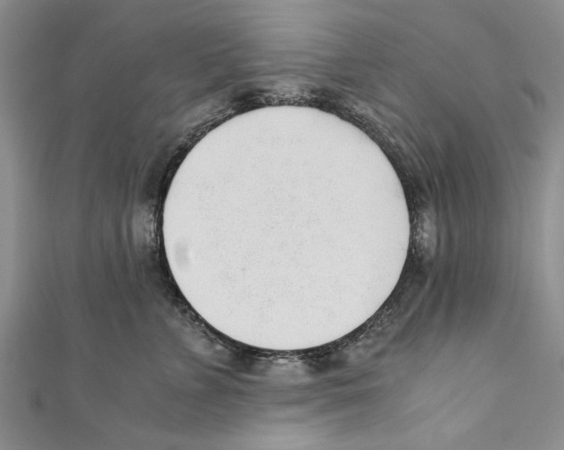 X0000110670715200907101106