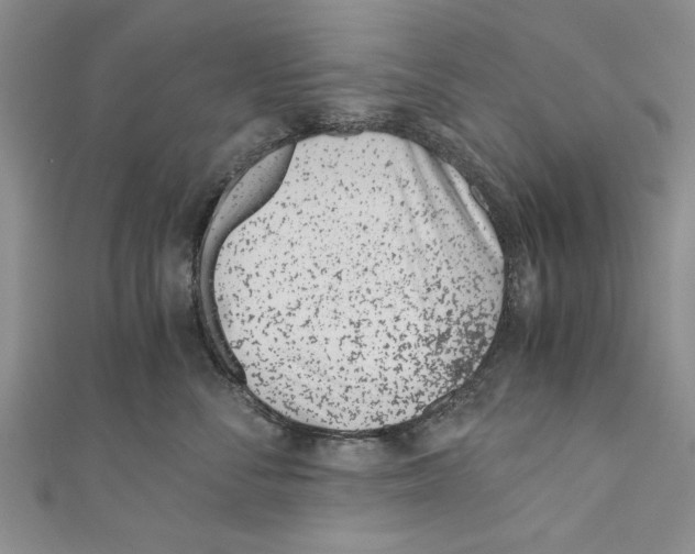 X0000110670716200907101106